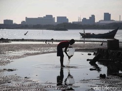 Melihat Pantai Marunda di Jakarta Utara yang Kian Bersih