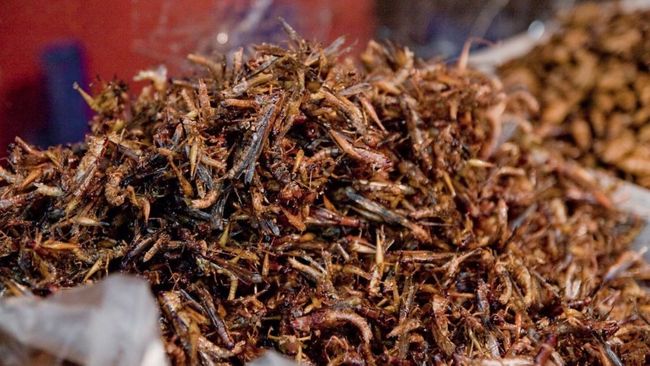 10 Daftar Kuliner Ekstrem yang Ada Indonesia, Kamu Berani Coba?