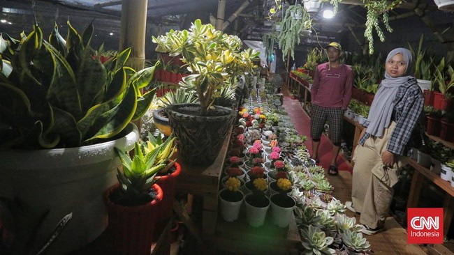 FOTO: Menengok Cantiknya Flora dan Fauna di Flona 2024