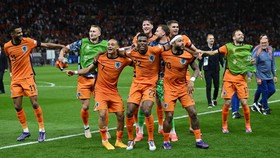 Daftar 9 Pemain Timnas Belanda yang Berkiprah di Liga Inggris