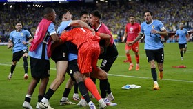 Daftar 4 Tim Negara Lolos Semifinal Copa America 2024