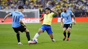 Daftar 4 Tim Negara Tersingkir di Perempat Final Copa America 2024