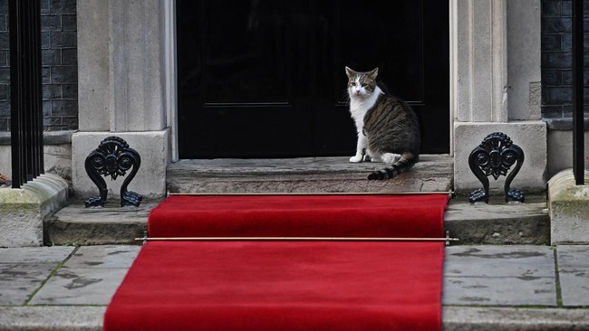 Larry, sang Kucing Downing Street, Menguasai Dunia Politik Inggris, Mengungguli Perdana Menteri