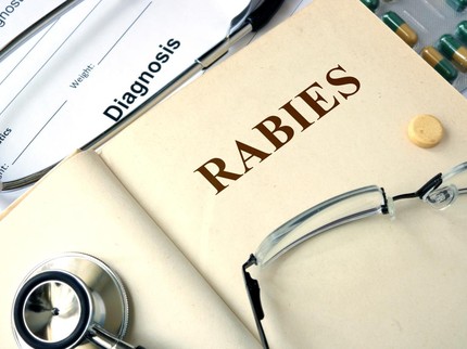Bahaya Anjing Rabies, Ini Ciri-ciri Anjing Rabies Dilihat dari Tingkahnya