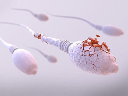 Mengenal Teratozoospermia Penyakit yang Merusak Kualitas Sperma, Penyebab & Cara Mengatasinya
