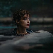 Awas Takut! Ini Dia Rekomendasi Film tentang Serangan Hewan Buas di Netflix