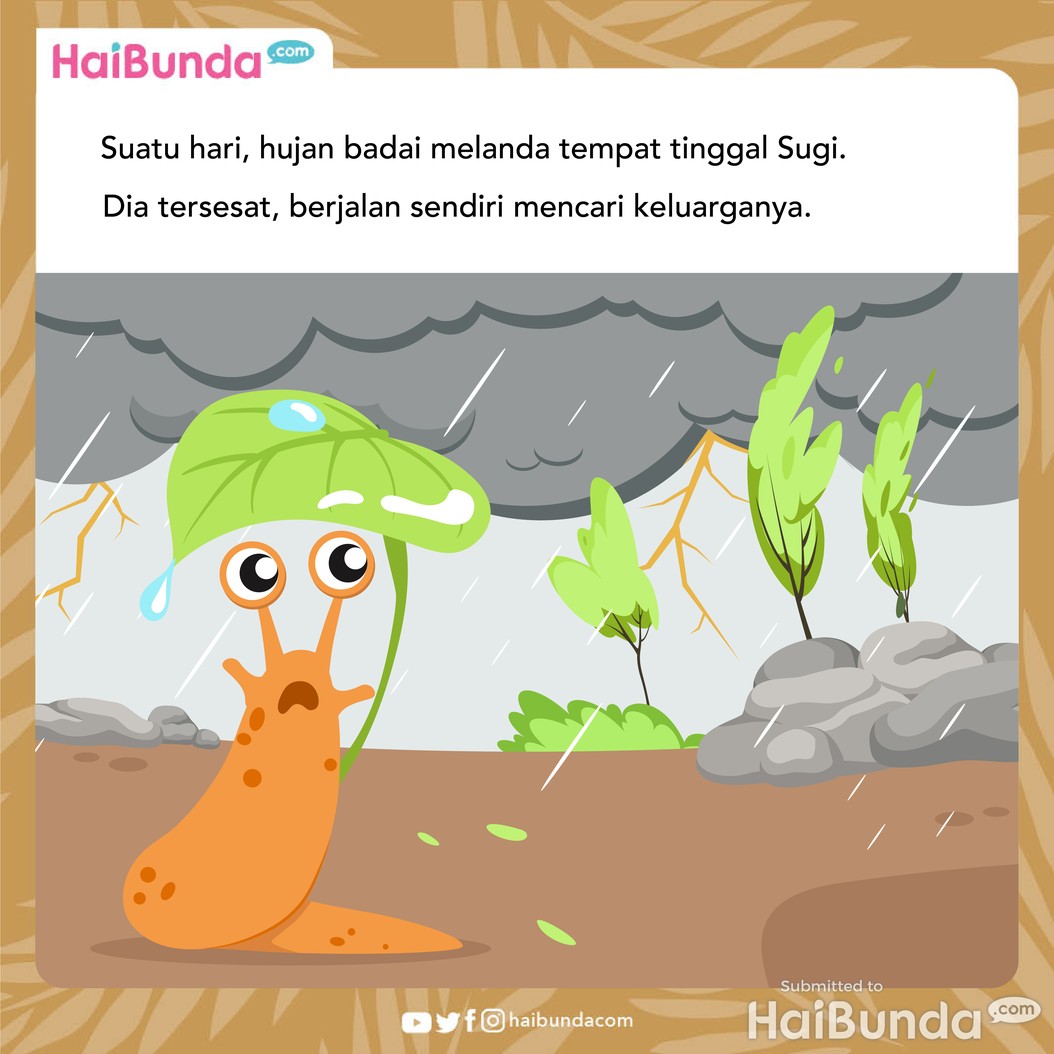 Cerita fabel: sugi tersesat dari hujan badai