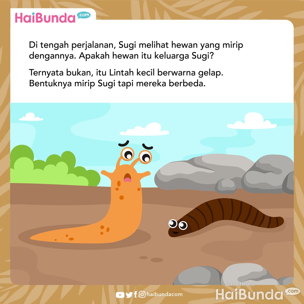 Cerita fabel: sugi tersesat dari hujan badai