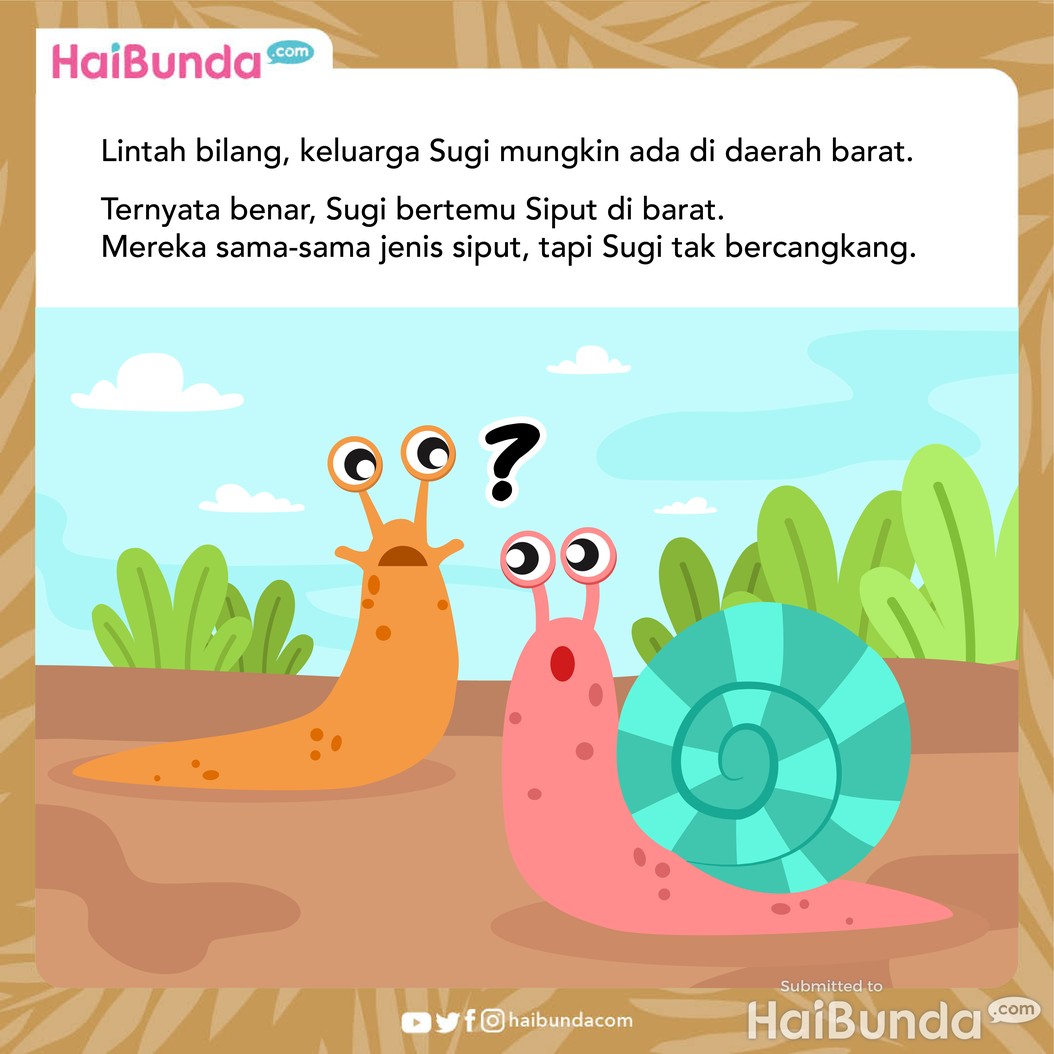 Cerita fabel: sugi tersesat dari hujan badai