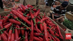 Musim Hujan, Harga Cabai hingga Bawang Makin Mahal