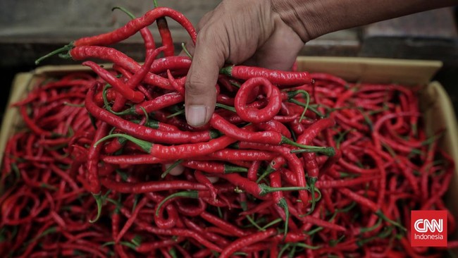 Kementerian Pertanian (Kementan) mengungkapkan lonjakan harga cabai terjadi di tengah surplus stok, baik cabai rawit hingga cabai merah keriting.