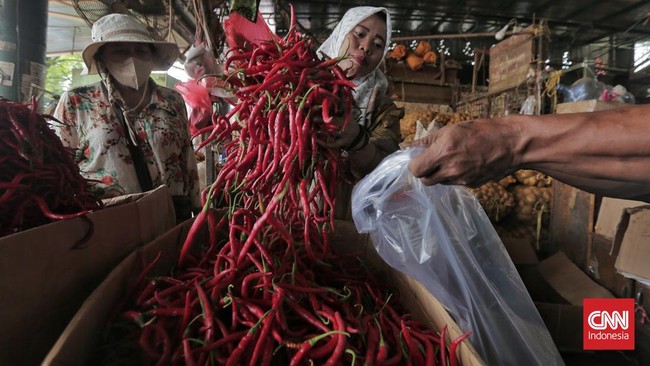 Harga cabai mulai merangkak naik pada awal pekan ini, Senin (21/10) meski masih murah dibandingkan harga normal sekitar Rp38 ribu - Rp40 ribu per kg.