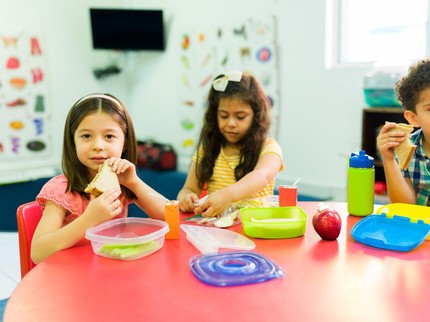 25 Ide Menu Bekal Anak TK yang Sehat dan Sederhana Dibuat