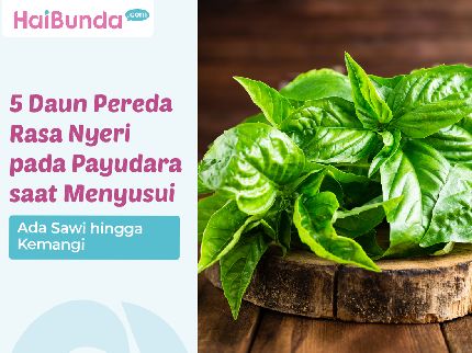 5 Daun Pereda Rasa Nyeri pada Payudara saat Menyusui, Ada Sawi hingga Kemangi