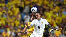 Darwin Nunez Buka Suara Usai Kerusuhan di Copa America 2024