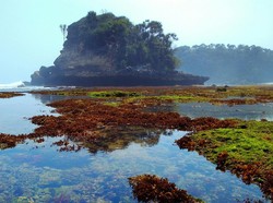 Pantai Jonggring Saloko, Fenomena Langka di Surga Tersembunyi Malang Selatan