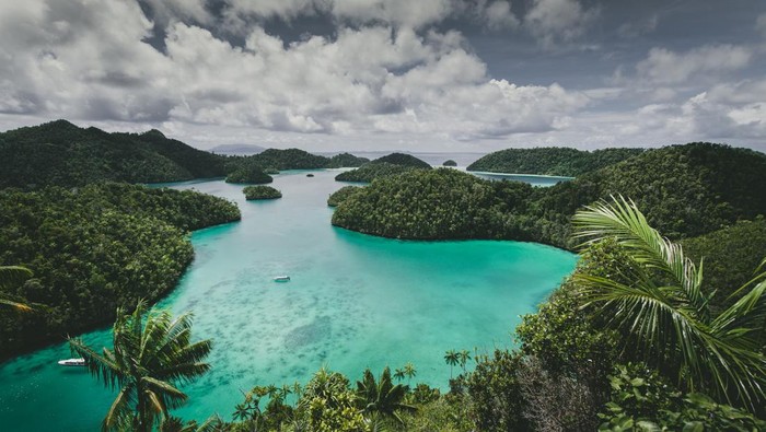 Usai #SaveRajaAmpat Menggema, 4 Izin Usaha Pertambangan di Raja Ampat Dibatalkan!