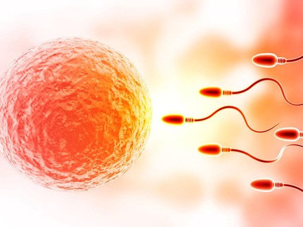 Mengenal Spermatozoa, Sel Penentu Kesuburan Pria yang Bantu agar Cepat Hamil