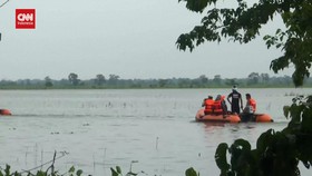 VIDEO: Banjir di Assam India, 9 Badak Bercula Satu Jadi Korban