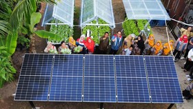 Pertamina Group Bantu Kelompok Hidroponik di Dumai Lewat Energi Hijau