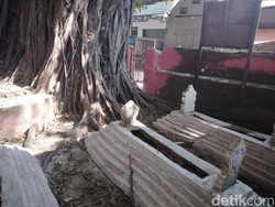 Pohon Keramat dan Sosok Ki Buyut Talka Cirebon
