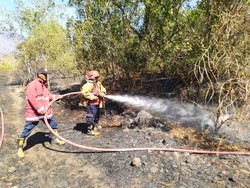 106,8 Hektare Lahan di Karangasem Terbakar Selama Dua Bulan