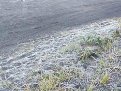 Muncul Embun Es di Ranu Regulo dan Bromo, Pengelola: Tak Ganggu Wisata