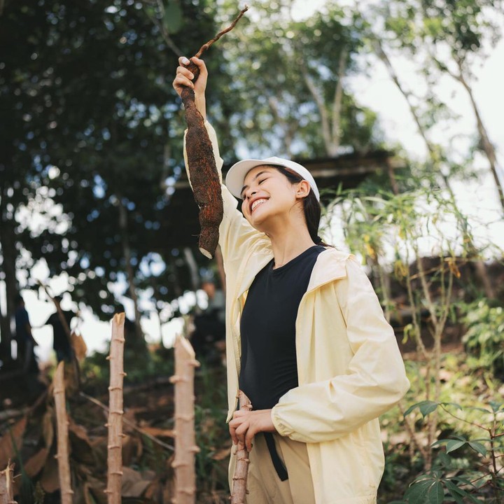 <p>Maudy Ayunda terlihat memamerkan senyum sumringah ketika ia berhasil mencabut singkong. Ia sangat menikmati perjalanan yang banyak melibatkan wisata alam seperti ini, Bunda. (Foto: Instagram @maudyayunda)</p>