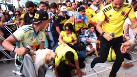 Conmebol Lepas Tangan Soal Kerusuhan Final Copa America 2024