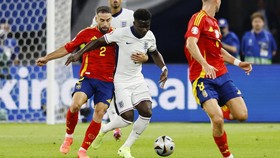 5 Momen Viral Final Euro 2024