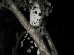 Heboh Pocong Terpotret Kamera, Warga Situbondo Kaitkan dengan Bulan Suro
