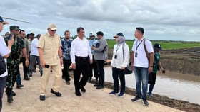 Pupuk Indonesia Dukung Pengembangan Lahan Pertanian di Merauke