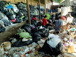 Rumah Maggot Sedayu Setop Operasional-Urus Izin Buntut Ditegur Satpol PP
