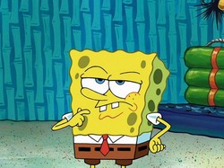 Peneliti Perkirakan, Nenek Moyang SpongeBob Adalah Hewan Pertama di Bumi