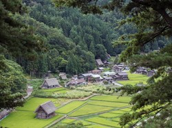 Tinggal di Pedesaan Jepang Dibayar Rp 500 Juta, Minat?