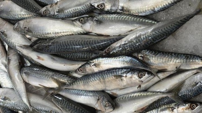 7 Makanan Laut Paling Sehat yang Wajib Kamu Konsumsi!