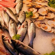 Menurut Ahli, Ini 7 Makanan Laut Paling Sehat yang Wajib Dikonsumsi