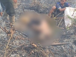 Buka Lahan Sawit dengan Cara Dibakar, Muhadi Tewas Terkepung Api