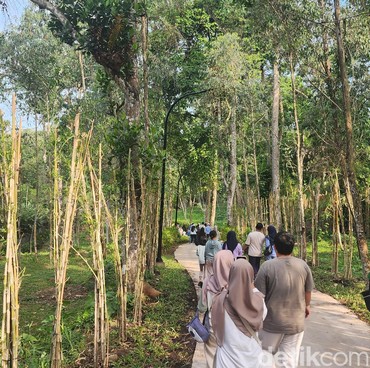 35 Tempat Wisata Pasuruan yang Lagi Ramai di Google, Cocok Buat Libur Panjang