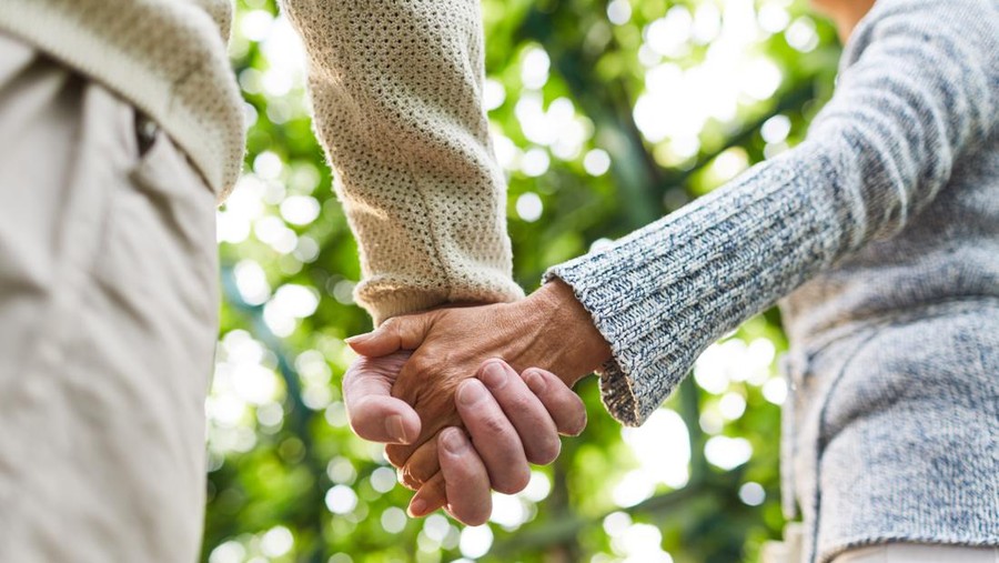 Hands of senior couple during walk in tree alley on sunny day