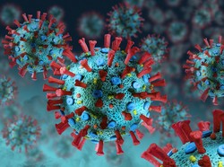 Ilmuwan Wuhan Temukan Virus Mirip Corona, Ini Respons WHO