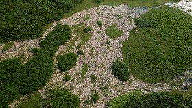 FOTO: Geger Sungai di Brasil Berselimut Bangkai Ikan Gegara Limbah