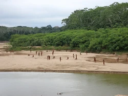 Suku Misterius Hutan Amazon Mendadak Menampakkan Diri, Ada Apa?