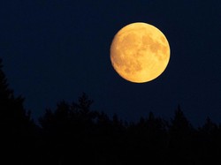 Daftar Fenomena Langit Juli 2025: Buck Moon-Hujan Meteor