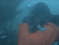 Basarnas Babel: Kecil Kemungkinan Jasad Pilot Arif Ditemukan Utuh