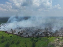 15 Hektare Lahan di Muba Terbakar, Pemadaman Dilakukan dengan 65 Water Bombing