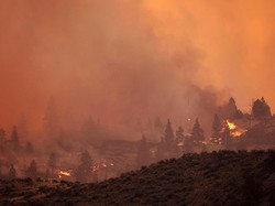 2 Orang Tewas Akibat Kebakaran Hutan di Kanada, Ribuan Warga Mengungsi