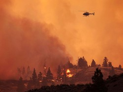Kebakaran Hebat Landa Hutan di Kanada: 2 Orang Tewas-Ribuan Warga Mengungsi