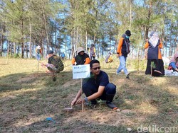 Ratusan Warga Pacitan Tanam Cemara Udang untuk Mitigasi Gempa dan Tsunami