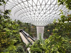 Viral Aksi Lucu Pekerja Bandara Changi Usir Monyet dengan Sopan